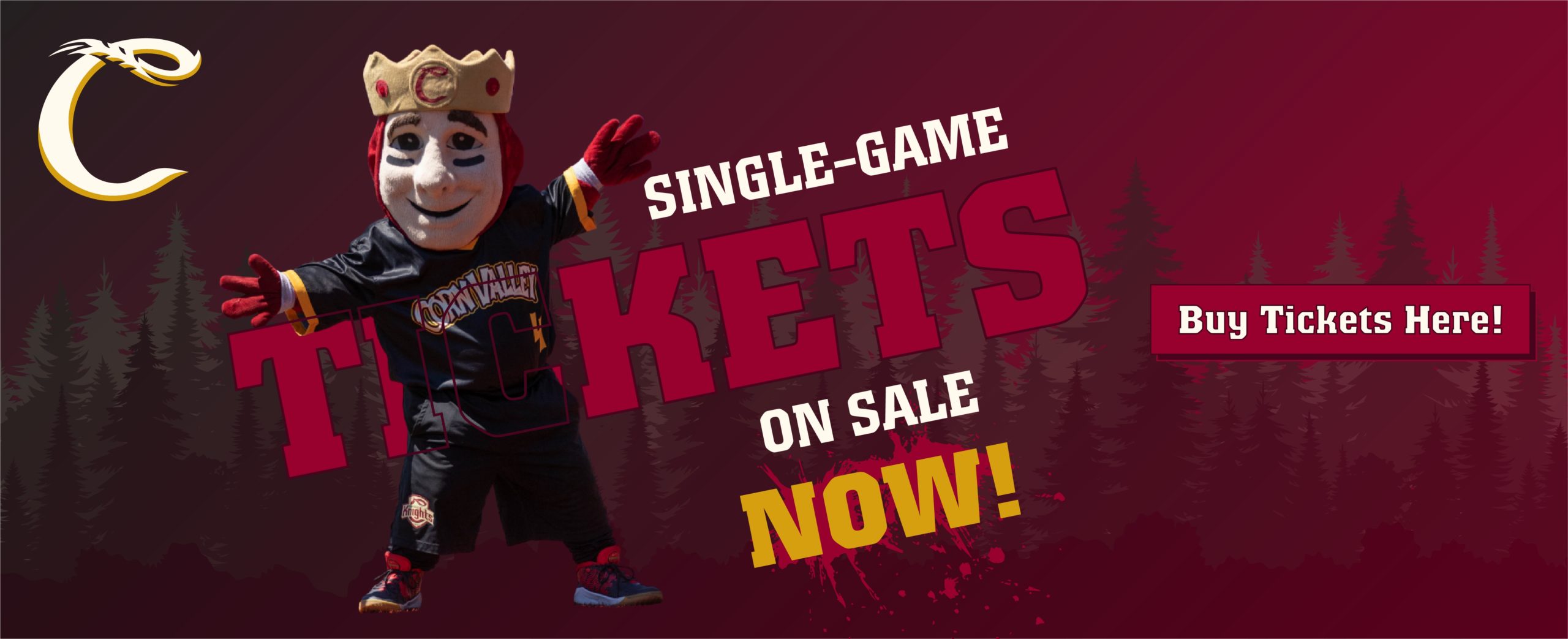 Single Game Tickets on Sale – Social 2022_slider (1)
