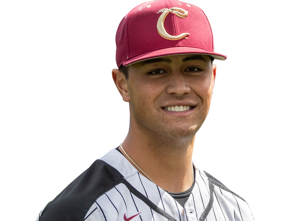 Brooks Hatch Blog: Adley Rutschman Named to Team USA - Corvallis Knights  Baseball